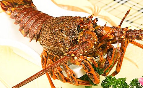 关于龙虾作文500字6篇