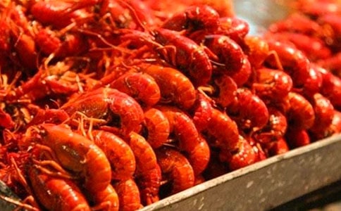 钓龙虾作文400字