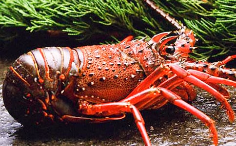 吃小龙虾的五个注意事项