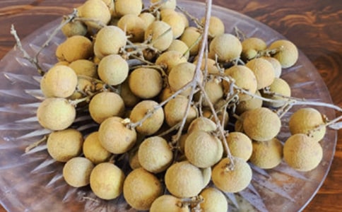 龙眼树的作文锦集6篇