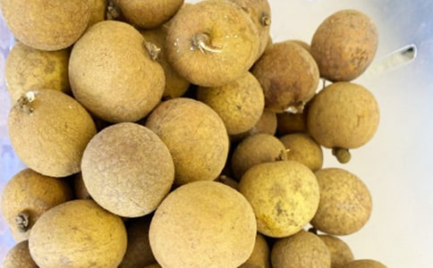 龙眼树的作文600字4篇