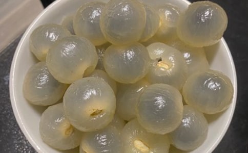 家乡的龙眼树作文