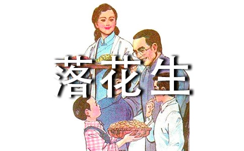 读落花生有感500字
