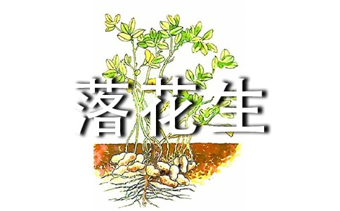 落花生我想对你说优秀作文(通用11篇)