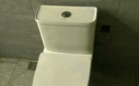 马桶起义小学生记事作文