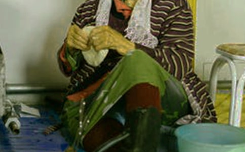 蒙古族的茶文化