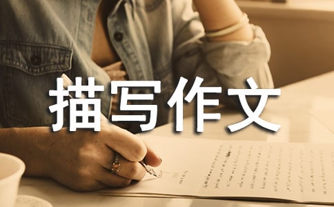 环境描写作文【推荐】