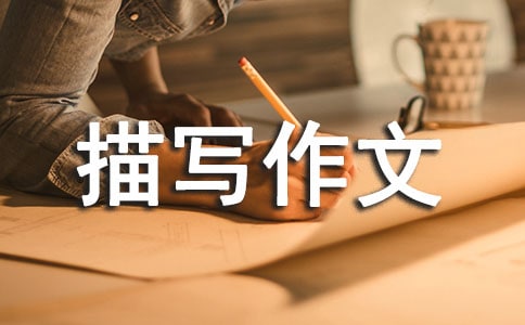 场面描写作文(集锦15篇)