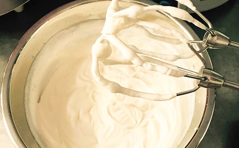 动物们的逃亡作文