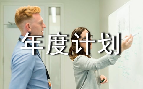 网络推广年度计划