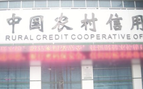 农村信用社半年工作总结(精选5篇)