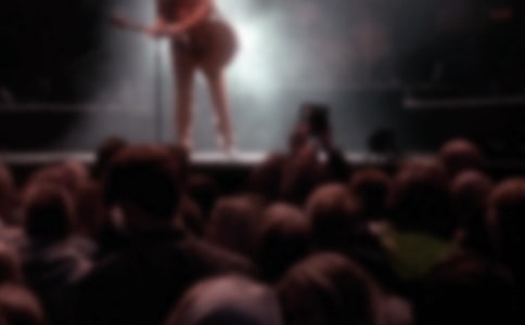 我的偶像小学作文