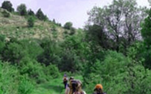 组织爬山活动通知