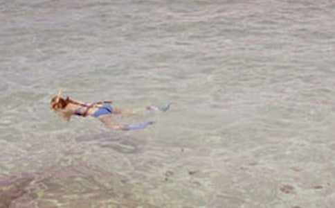 我爱潜水作文(通用37篇)