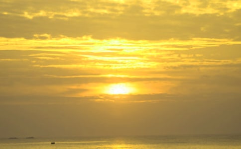 【精选】日出作文300字三篇