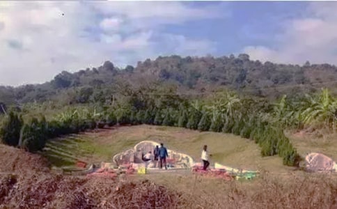 关于小学生扫墓作文九篇