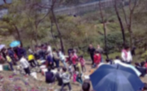 【实用】小学生扫墓作文四篇