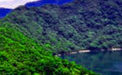 王维山水诗的意境赏析