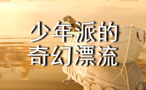 少年派的奇幻漂流记的观后感600字