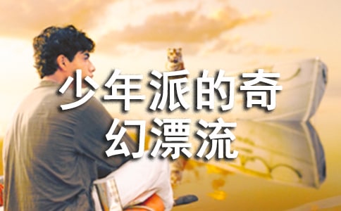 有关《少年派的奇幻漂流》观后感