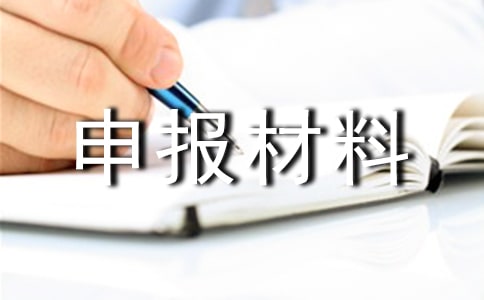 项目申报材料真实性承诺书