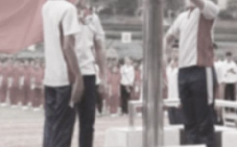 小学难忘的升国旗作文