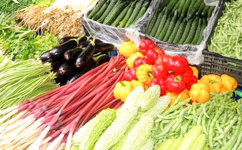 上半年农技蔬菜工作总结及下半年计划