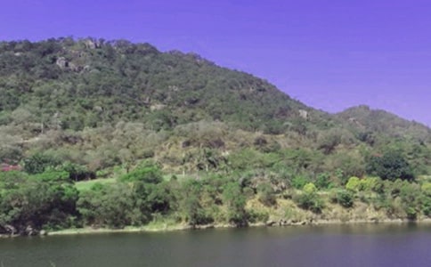 【热】水库承包合同