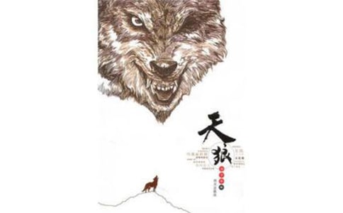 《天狼》读后感推荐