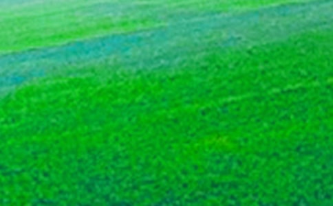 关于描写田野的作文九篇