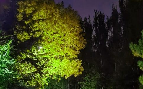 简短的美好的晚安问候语语录41句