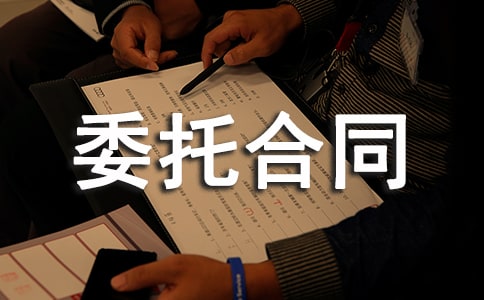 最新的土地评估委托合同范本