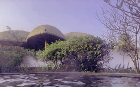 汤伯温泉优秀作文