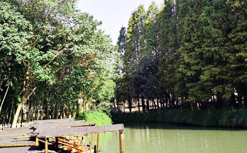 美丽的乌镇作文精选15篇