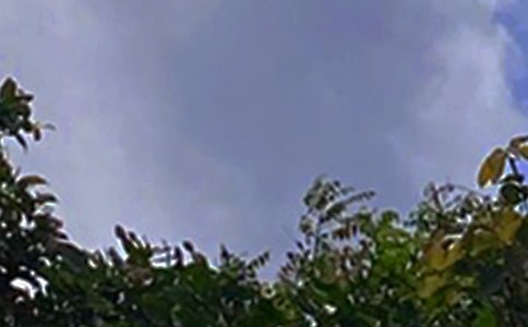 2023年治愈系午安问候语短信36句