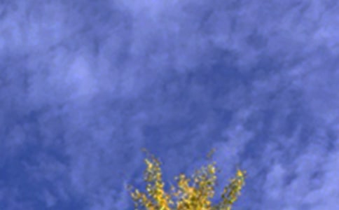 优美的午安微信问候语36条