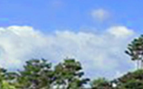 温馨的午安问候语短信(精选380句)