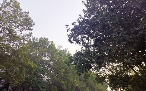 治愈系午安问候语合集44句