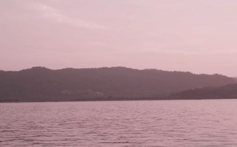 美丽的西湖作文【推荐】