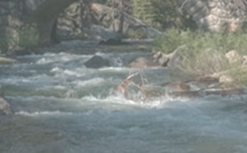 小溪流的旅行作文