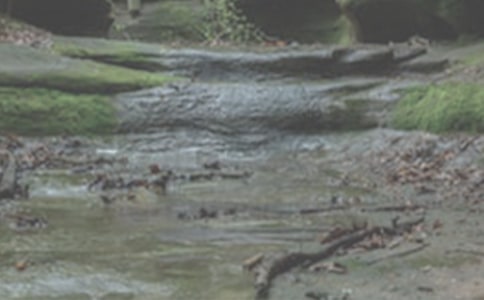 小溪流的旅行作文(通用18篇)