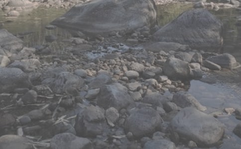 小溪流的旅行作文【集锦4篇】