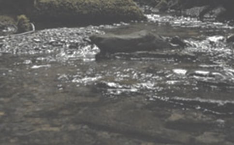 (优)小溪流的旅行作文9篇