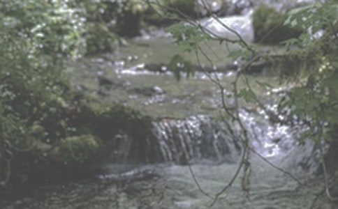 小溪流的旅行作文(集合9篇)