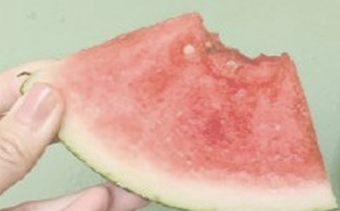 【精华】夏日即景作文500字4篇