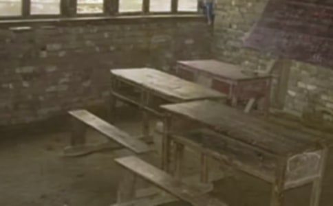 美丽的乡村小学作文