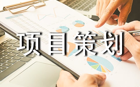 企业项目策划书通用