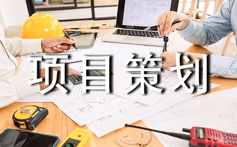 书画项目策划书