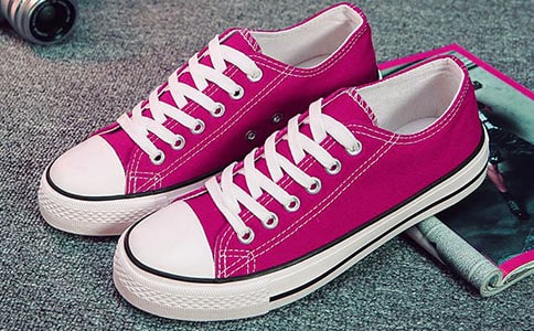 未来的鞋子作文