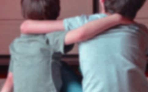 【精华】兄弟作文500字三篇